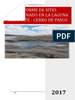 Informe de Sitios Contaminados Laguna Yanamate