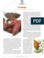 O Cacau Chocolate PDF