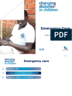 3b. Emergency Care - Hypoglycaemia ENG