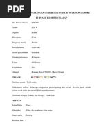Download Resume Keperawatan Gawat Darurat Pada Tn w Dengan Stroke Burhan by Ryan Zidbin SN360908413 doc pdf