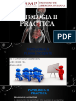 Introducción A Patología II Práctica
