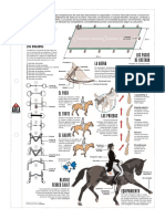 Caballos - La Doma.pdf