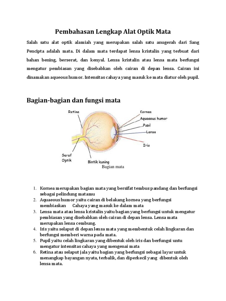 Contoh Surat Lamaran Kerja Di Optik Kacamata - Kumpulan Kerjaan