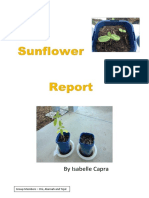 Sunflower Report