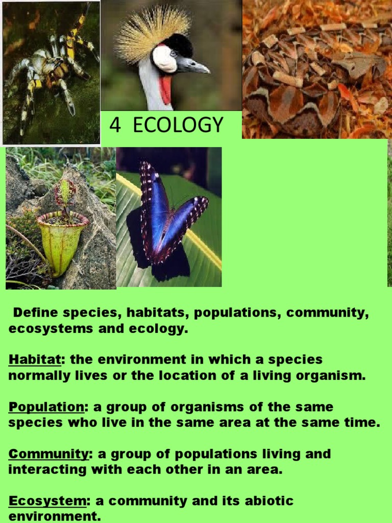 4 1 Species Communities And Ecosystems