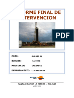 Informe Final SRB-A1 G.gonzales