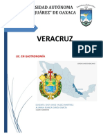 VERACRUZ.pdf