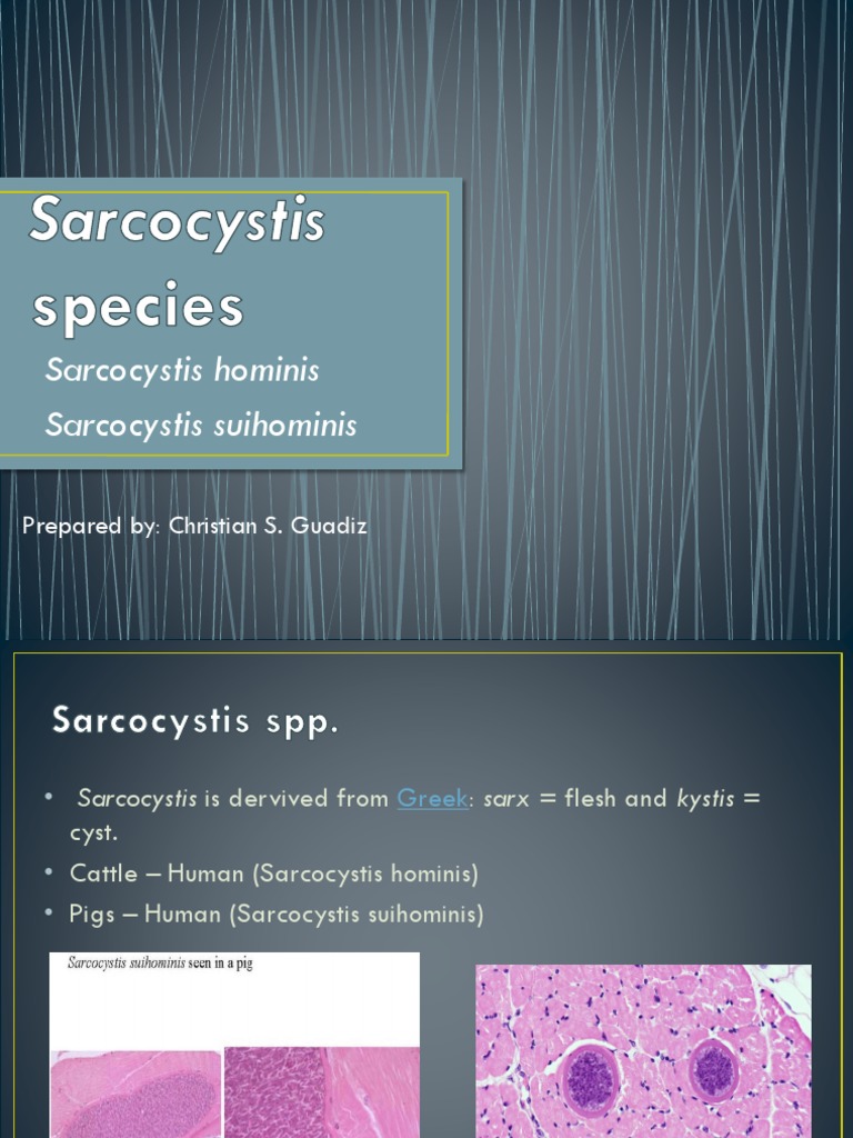 Sarcocystisspecies.pptx Health Sciences Medical