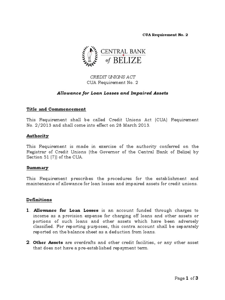 Belize | PDF | Loans | Credit (Finance)