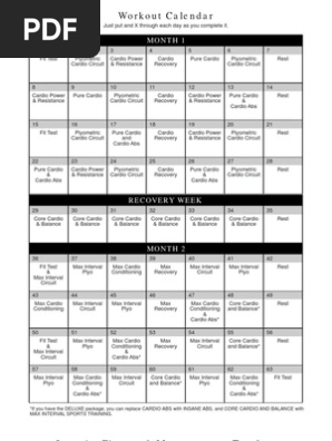 insanity calendar fittest pdf aerobic exercise body shape