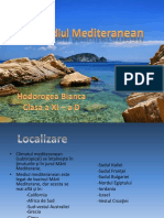 Mediul Mediteranean