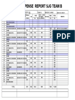 Monthly expense report SJG team B