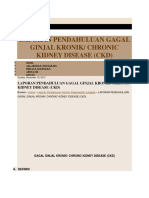 Laporan Pendahuluan Gagal Ginjal Kronik/ Chronic Kidney Disease (CKD)