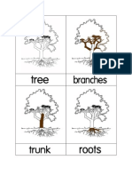 Tree Nomenclature Cards