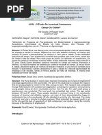 o Exodo Da Juventude Camponesa - Campo Ou Cidade