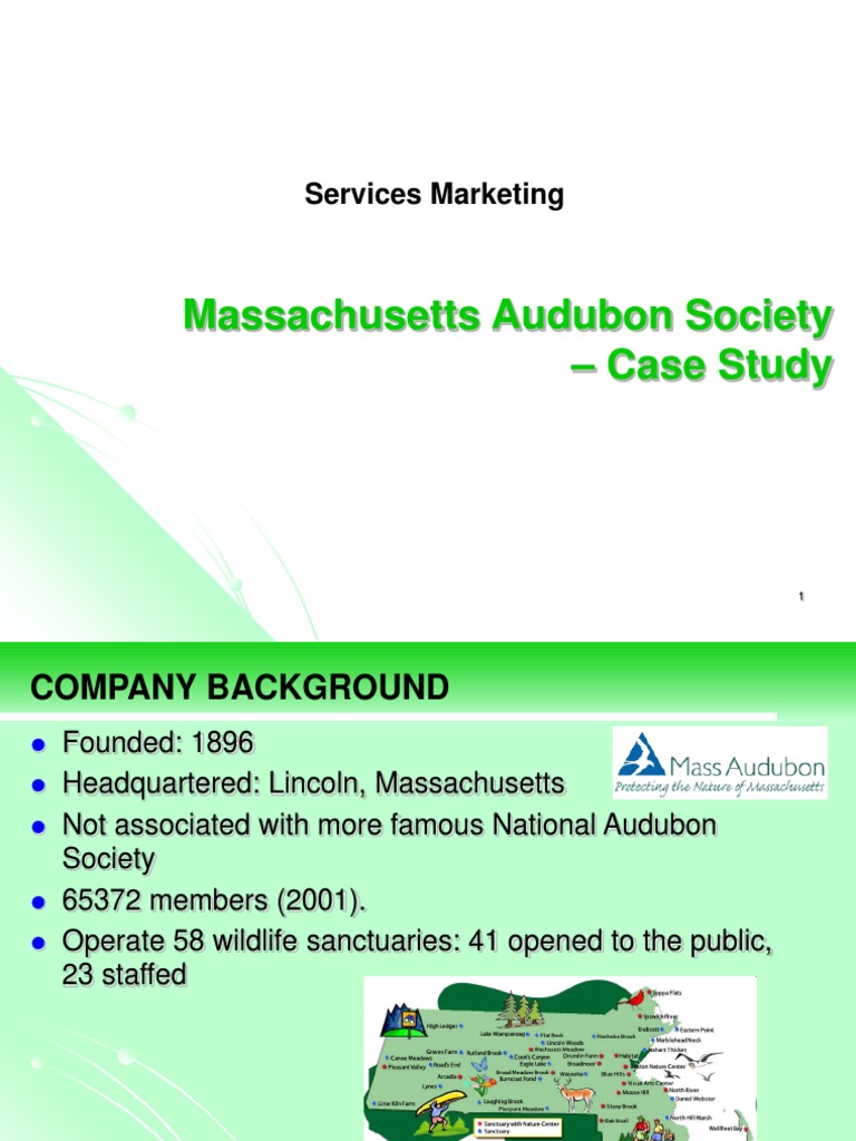 Fundraising case study template picture