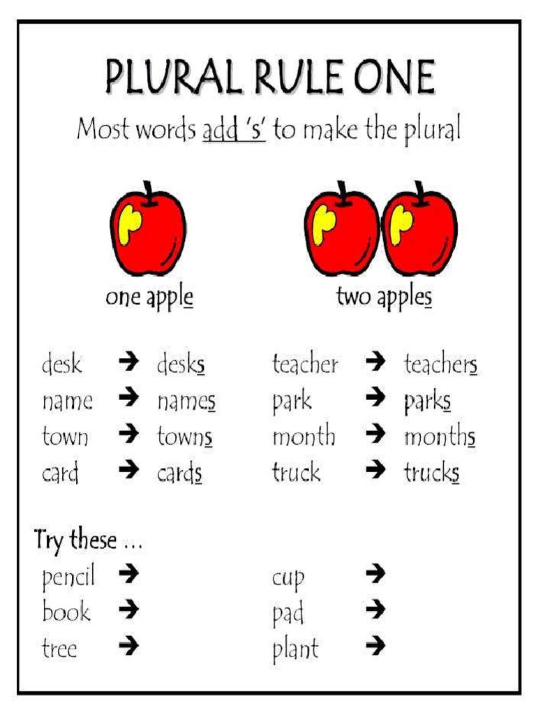 correct plural of essays