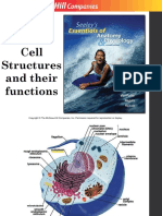 3. Cell Structure and functions.pdf