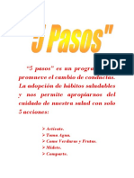 5 PASOS.docx