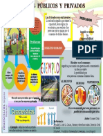 Infografia Bienes y Servicios Publicos Romer Ortiz 18.333284