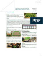 Producción-de-forraje-verde-hidropónico costo 3.pdf