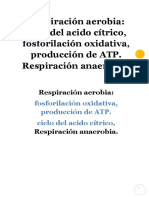 Respiracion Aerobia y Anaerobia PDF