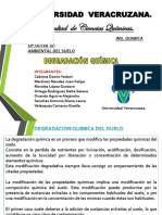 Exposición - Degradacion Quimica Del Suelo