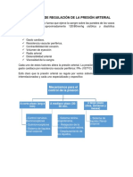 regulacion de la presion arterial.docx