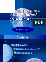 7_ Asam Nukleat Biokimia I, 24102013