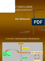 7_Metabolisme Karbohidrat Vokasi2015