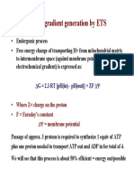 Curs Formare ATP Proton Translocation 2006