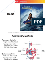 12.-Heart.pdf