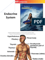 Endocrine System