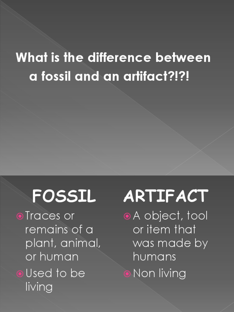 Difference Between Fossil and Artifact PDF