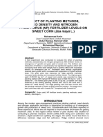Effect of Planting Methods, Seed Density and Nitrogen Phosphorus (NP) Fertilizer Levels On SWEET CORN (Zea Mays L.)