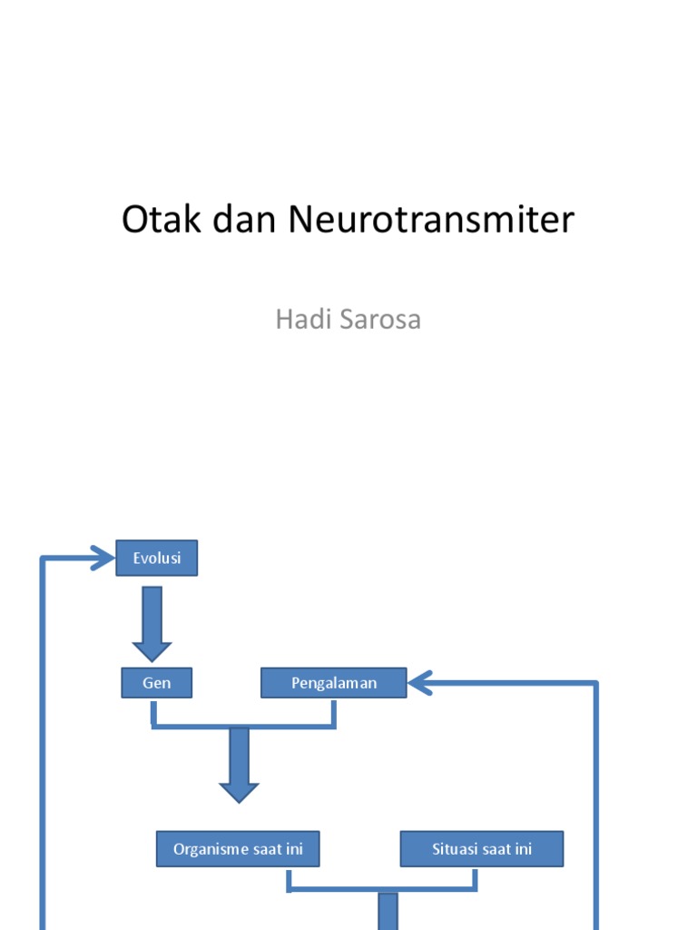 Ilustrasi otak dengan area yang aktif akibat pelepasan neurotransmitter
