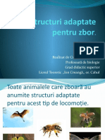 Structuri Adaptate Pentru Zbor