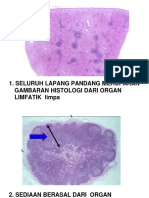 Soal Uas Prak Histo 08 Yul-Nuz-Hp