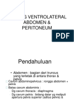 Dinding Ventrolateral Abdomen