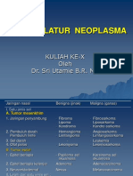 Neoplasma 2