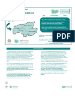 PDF PLS09 02 GeresCabreira