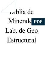 Biblia Minerales