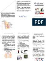 Disruptores Endocrinos Triptico