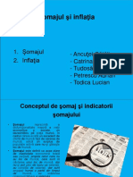 341179394-C9-10-Inflatia-si-somajul-Modif-2-ppt (1)