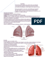 8 Pulmones