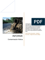 Informe Contaminacion en Fuentes Hidricas