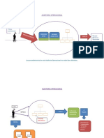 auditoria operacional 30.9.17.docx