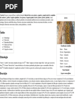 Jerivá – Wikipédia, A Enciclopédia Livre