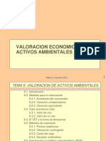 Valoracion Economica de Activos Ambientales