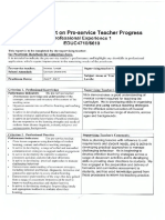 Interim Report Page 1